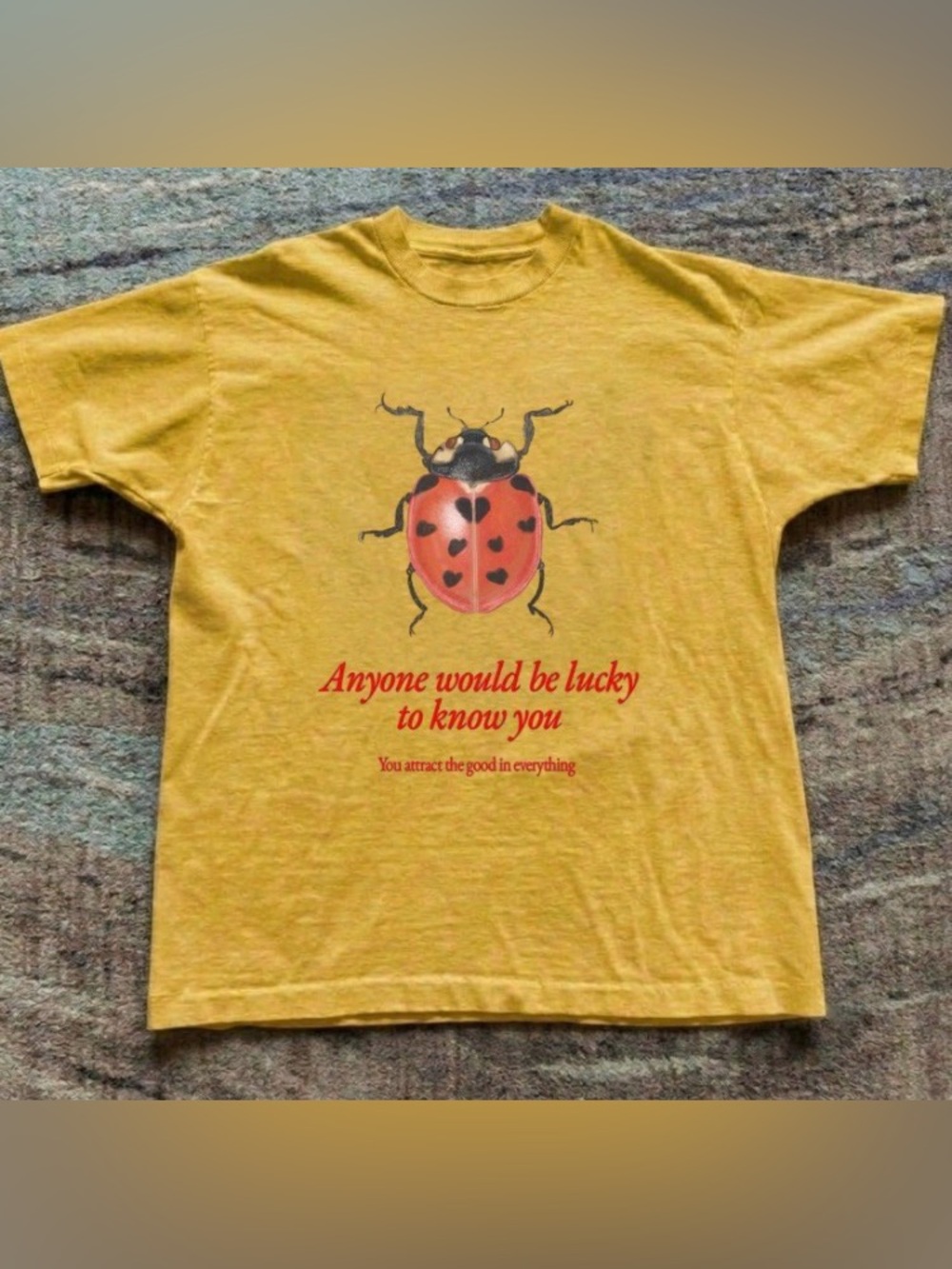 Noah Kahan Tour Ladybug Graphic Tee, The Great Divide Tour Music Merch T-Shirt